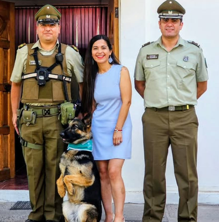Kala, nuevo ejemplar canino refuerza labores preventivas en la 23ª Comisaría de Talagante