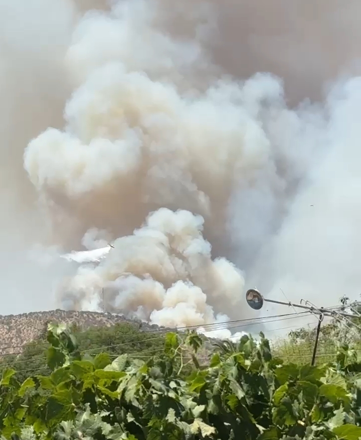 Bomberos y Conaf combaten violento incendio forestal en Bollenar