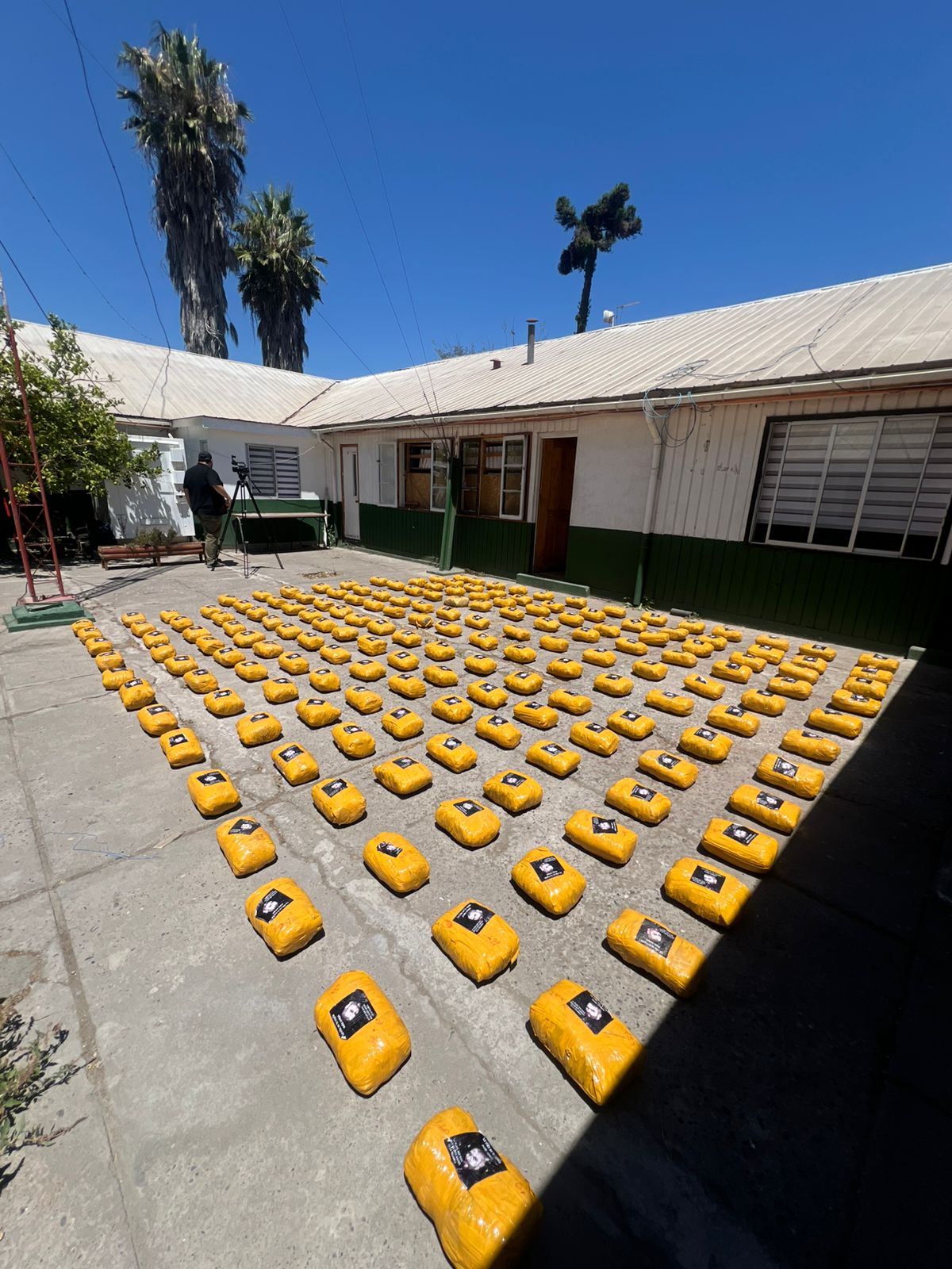 Carabineros detiene a sujeto con más de 187 kilos de marihuana en Paine