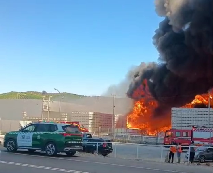 Más de 500 trabajadores evacuados por incendio en planta agroindustrial de la comuna de Las Cabras