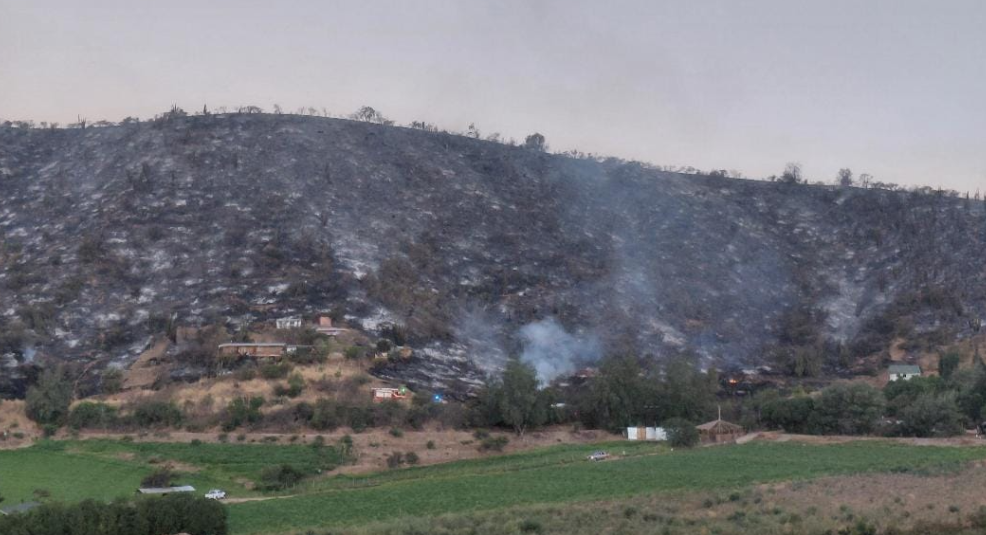 Tragedia en Mallarauco: incendio forestal cobra la vida de una mujer y arrasa 44 hectáreas