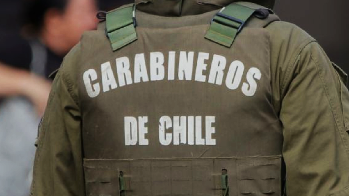 Municipalidad y Carabineros intervienen en brutal caso de maltrato animal en Curacaví y anuncian retiro de felinos desde una propiedad