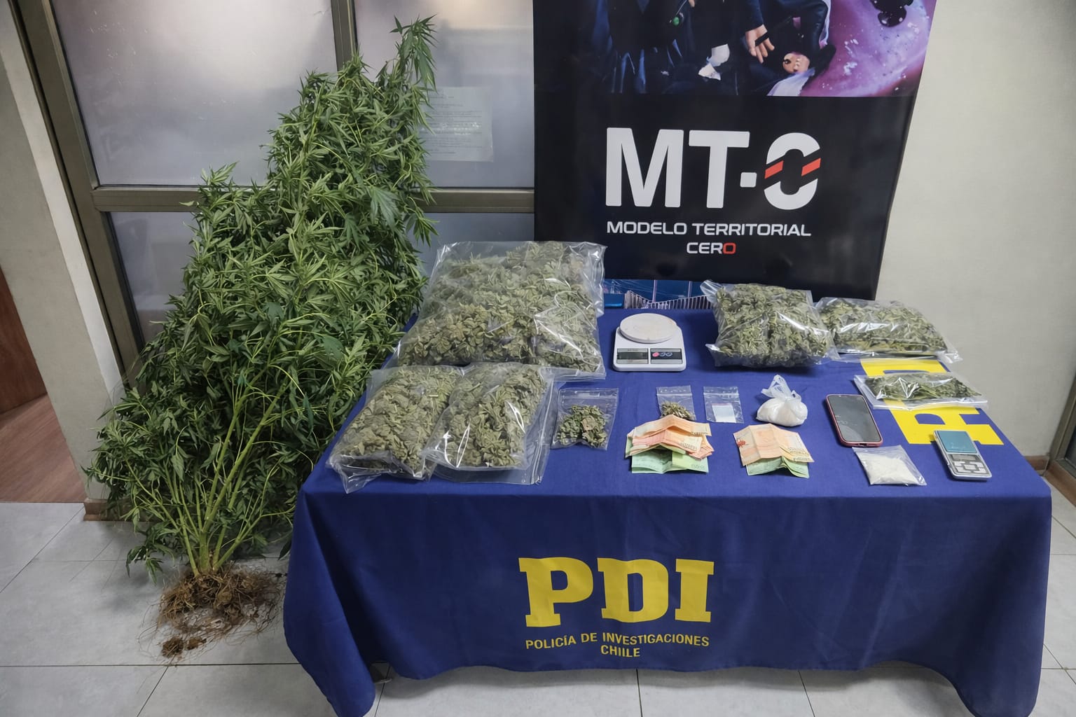 PDI Melipilla detiene a cinco personas por infracción a la Ley 20.000