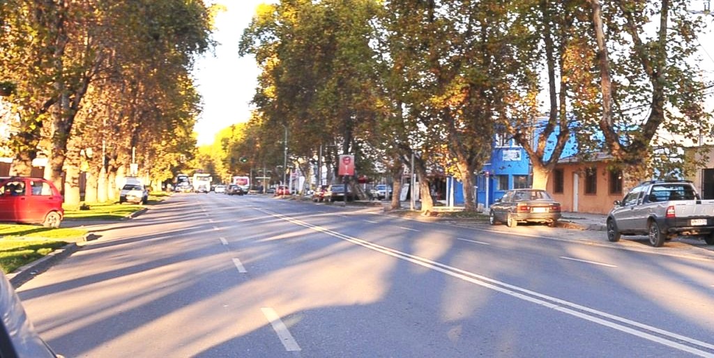 “Lunes de náuseas”: El rastro de insalubridad que un camión de desechos deja en Avenida Vicuña Mackenna de Melipilla